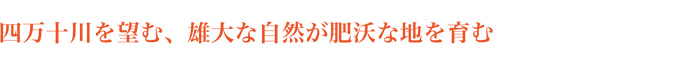 四万十川を望む、雄大な自然が肥沃な地を育む